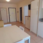 Conchiglie 4*