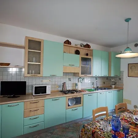 Conchiglie Marina Romea