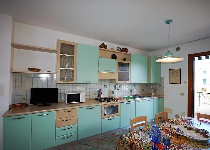 Conchiglie Marina Romea