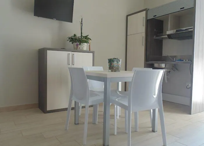 Conchiglie Marina Romea